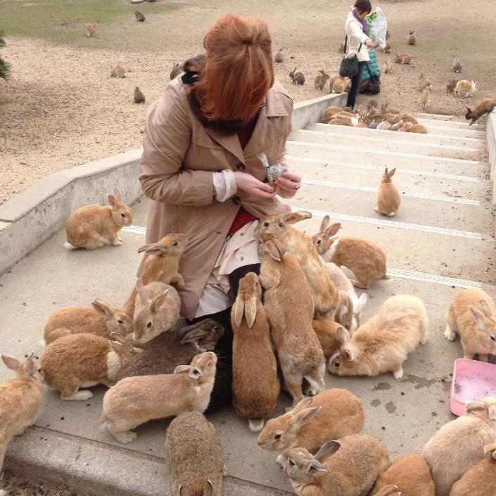 Кроличий остров в Японии — Okunoshima (24 фото)